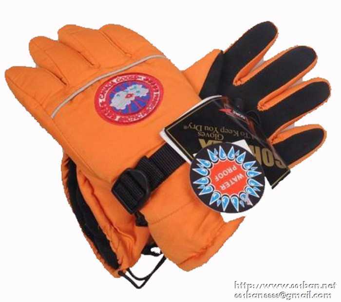 2017年秋冬限定人気アイテムCANADA gooseカナダグース メンズ手袋 5色可選グローブズ
