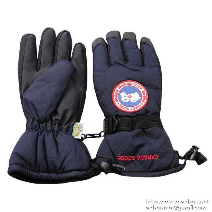 2017年秋冬限定人気アイテムCANADA gooseカナダグース メンズ手袋 5色可選グローブズ