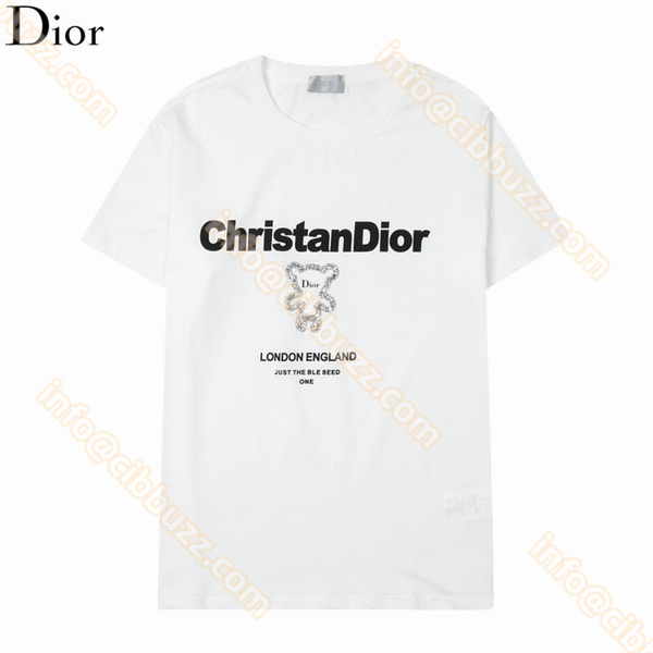 DIOR メンズ半袖ｔシャツ 激安Ｎ級品 ディオールロゴ 人気偽物 通販