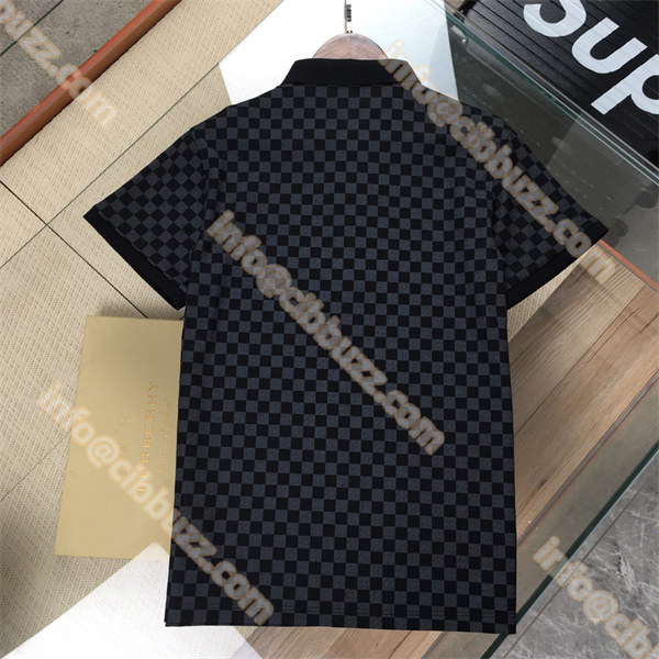 Louis Vuitton メンズ半袖ｔシャツ スーパーコピー