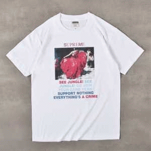 高級感ある  2016SS SUPREME シュプリーム Morrissey berry tee 半袖Tシャツ