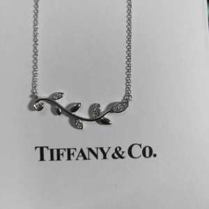 イメージが強いブランド　ティファニーネックレス人気コピー　魅力を存分に発揮させた　スーパーコピー Tiffany & Co.通販　視線を集める新作　